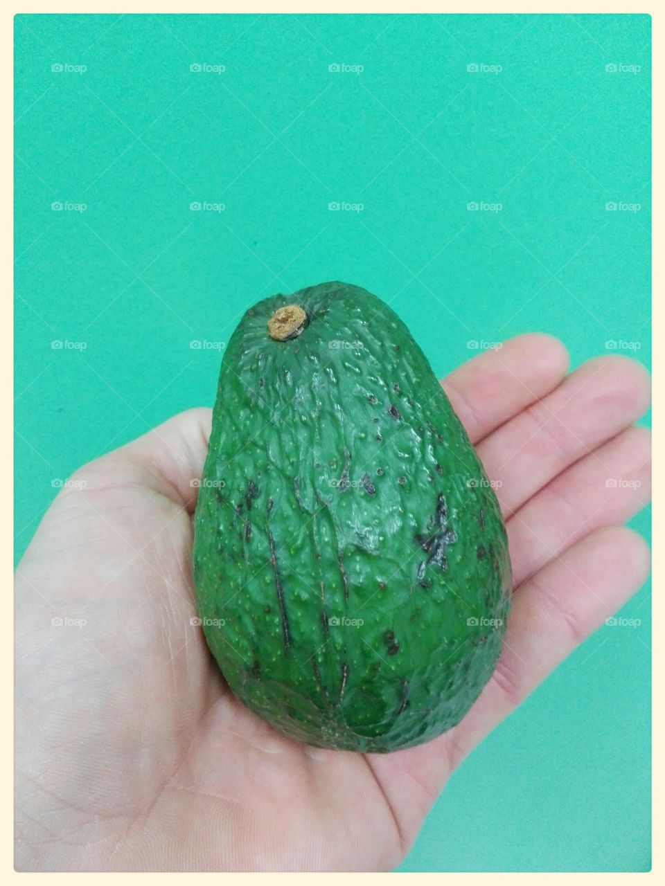 closeup avocado