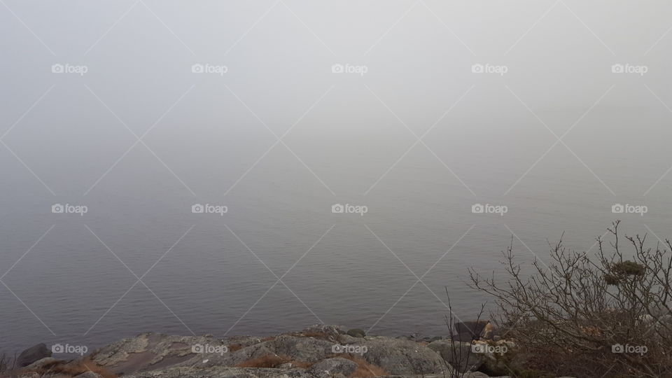 Fog at sea - dimma vid havet 