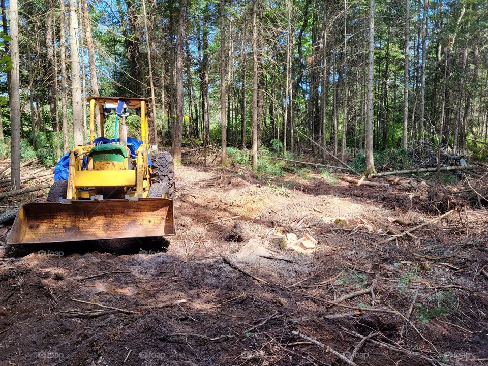 Old yellow excavation tractor in tree area clearing on a sunny summer day