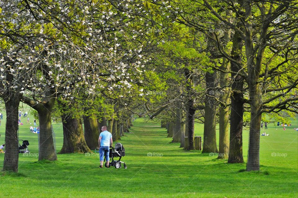 walk through the beautiful avenue