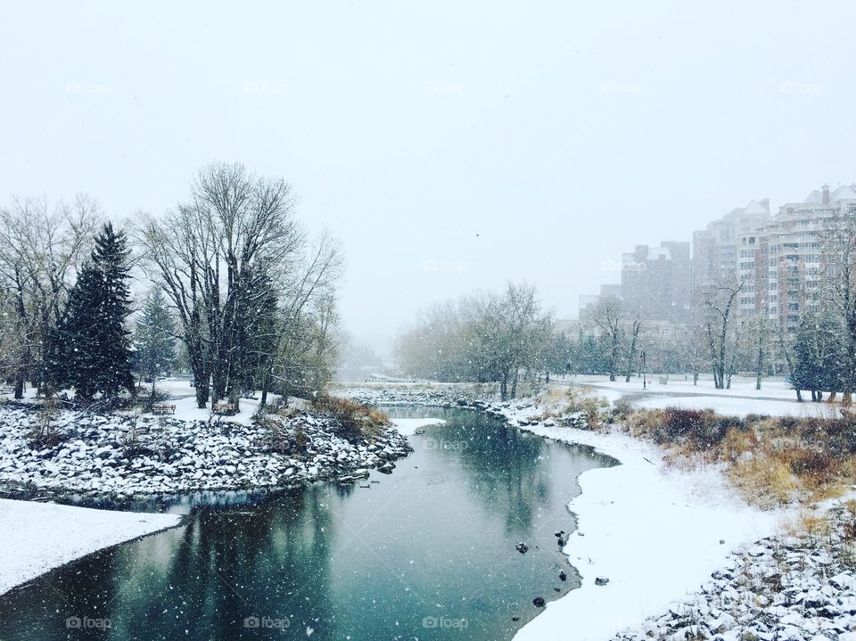 The Calgary's River 