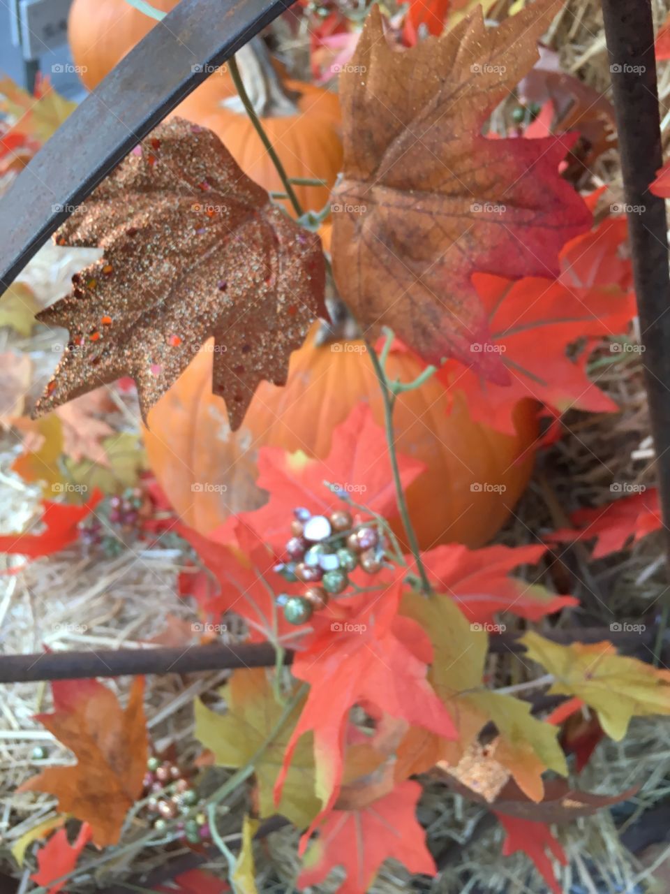 Close view of fall decoration