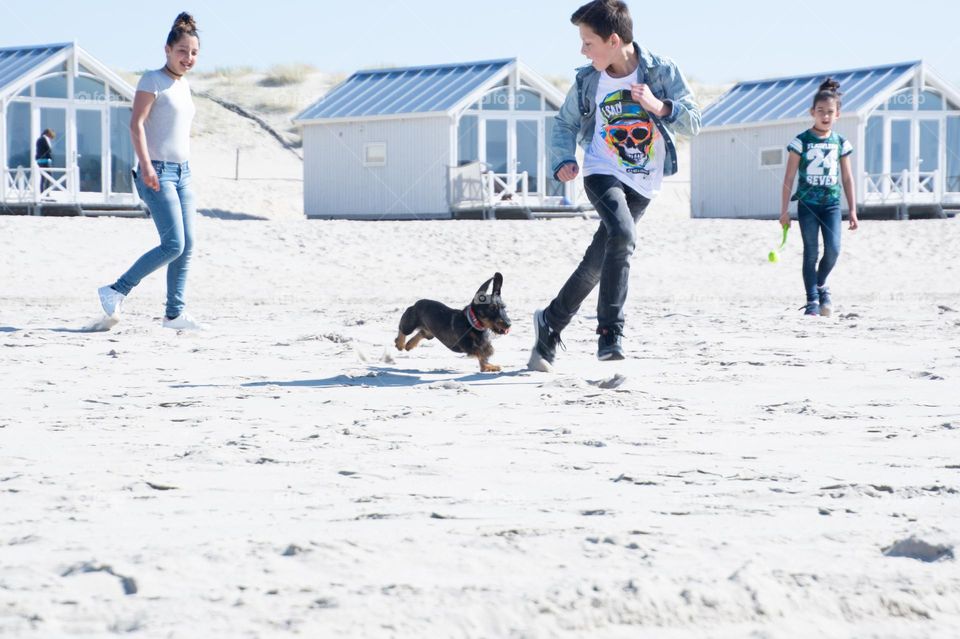 Kids walking the dog on the beach