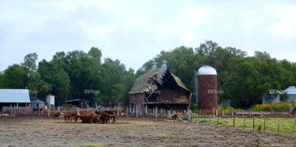 I don’t Know if That Hay is Usable Anymore