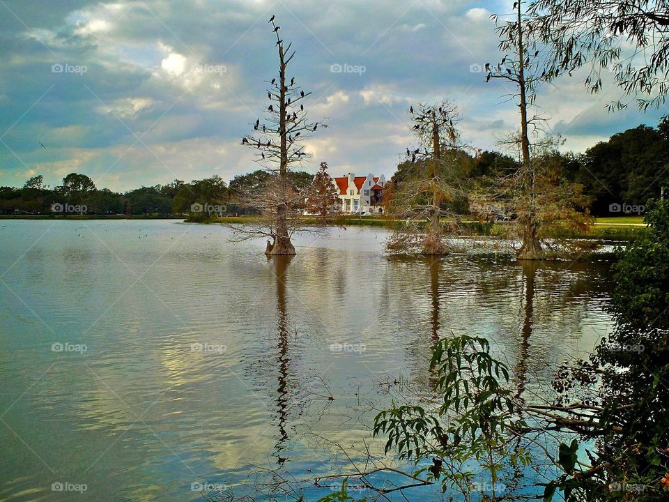 Lake side view. LSU lakes