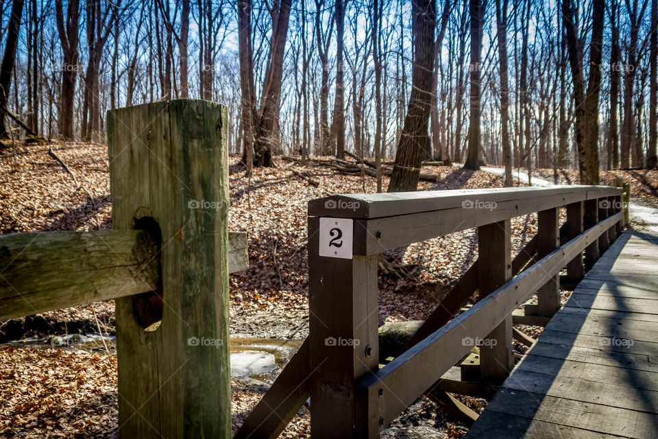 Empty boardwalk along bare trees