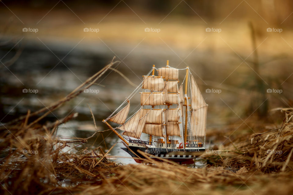 wooden ship model on spring pond