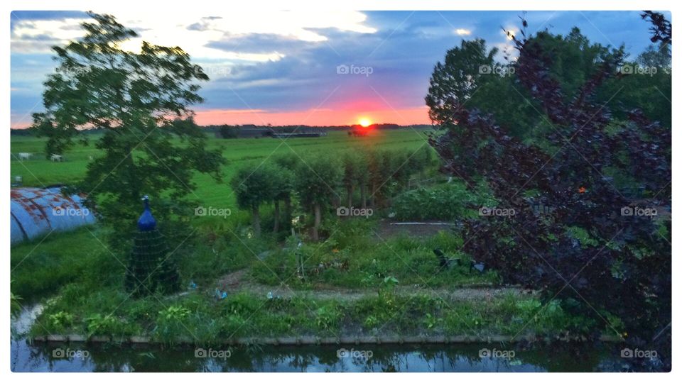 Sunset in the green heart 