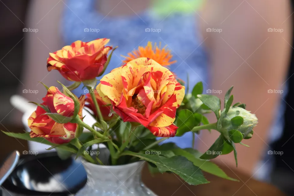 Flowers in a Vase