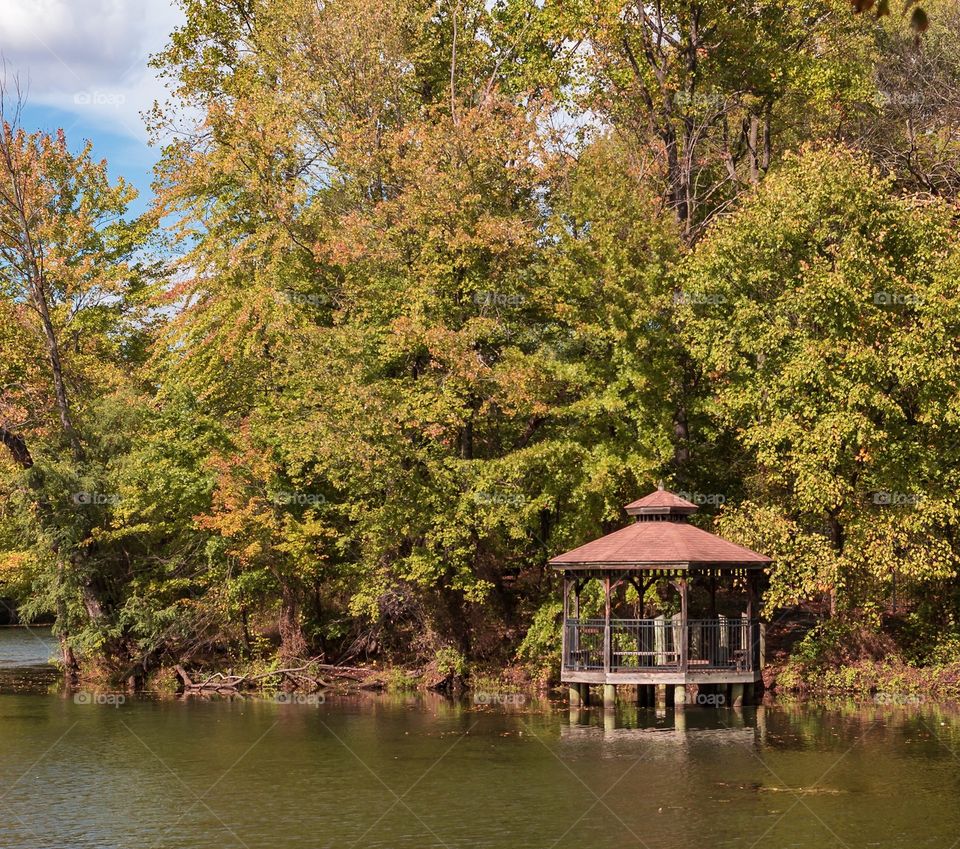 Fall scenic view