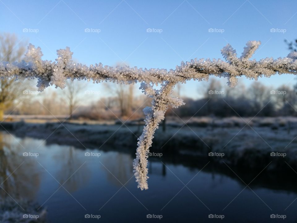 Frost covered barbwire