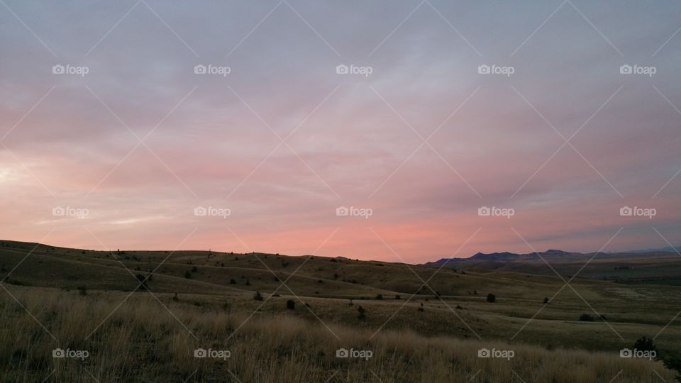 Scenic view of grassy landscape during sunrise