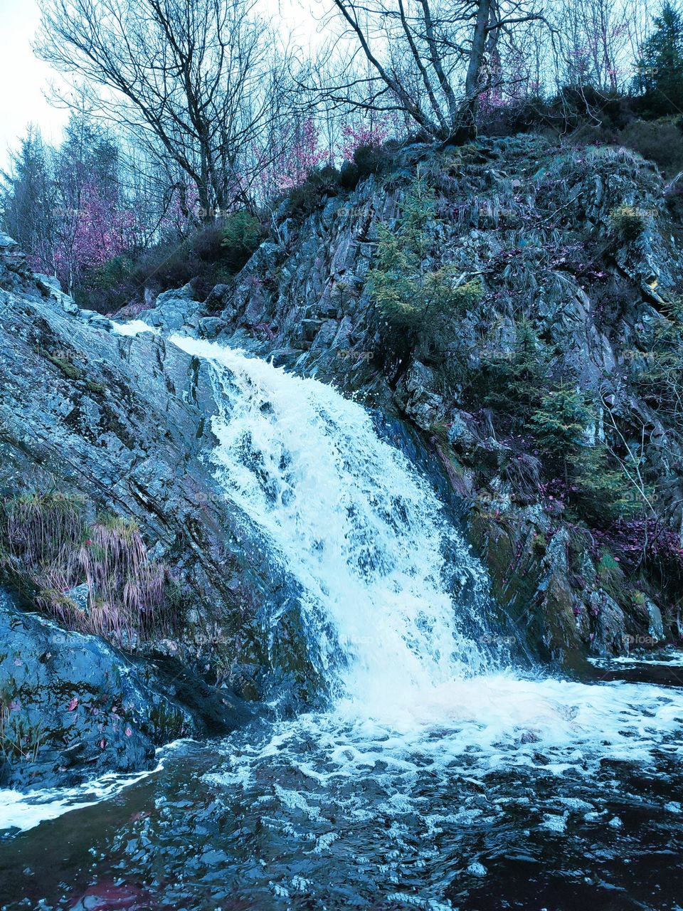 Walk in the woods, Bayehon waterfall