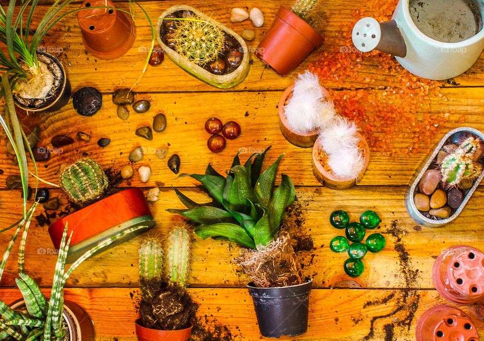 Sometimes I make little resin pots and put cacti and such in them, this flat lay represents that