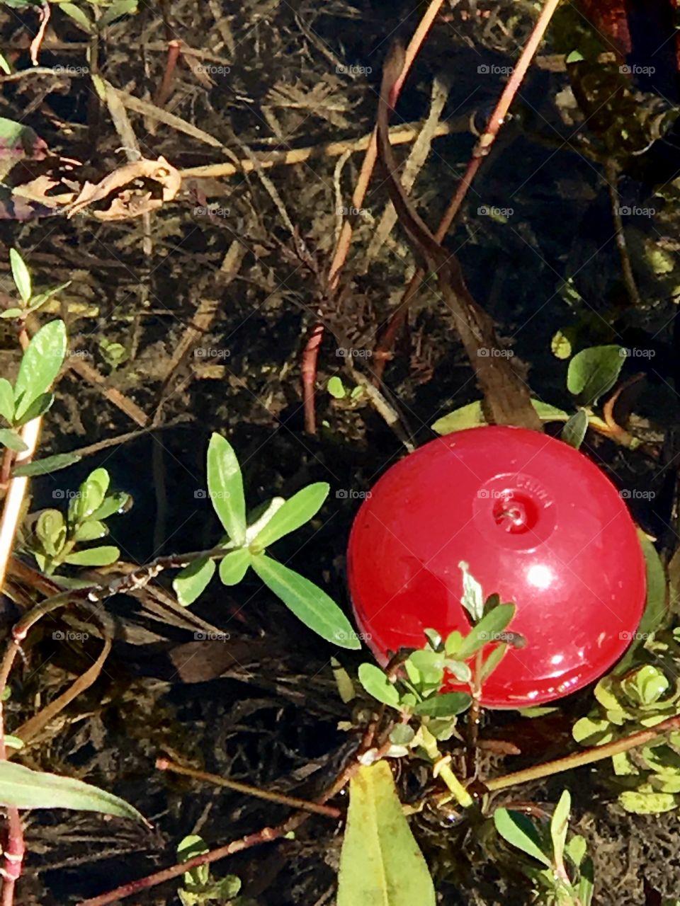 Red bauble fishing tackle 