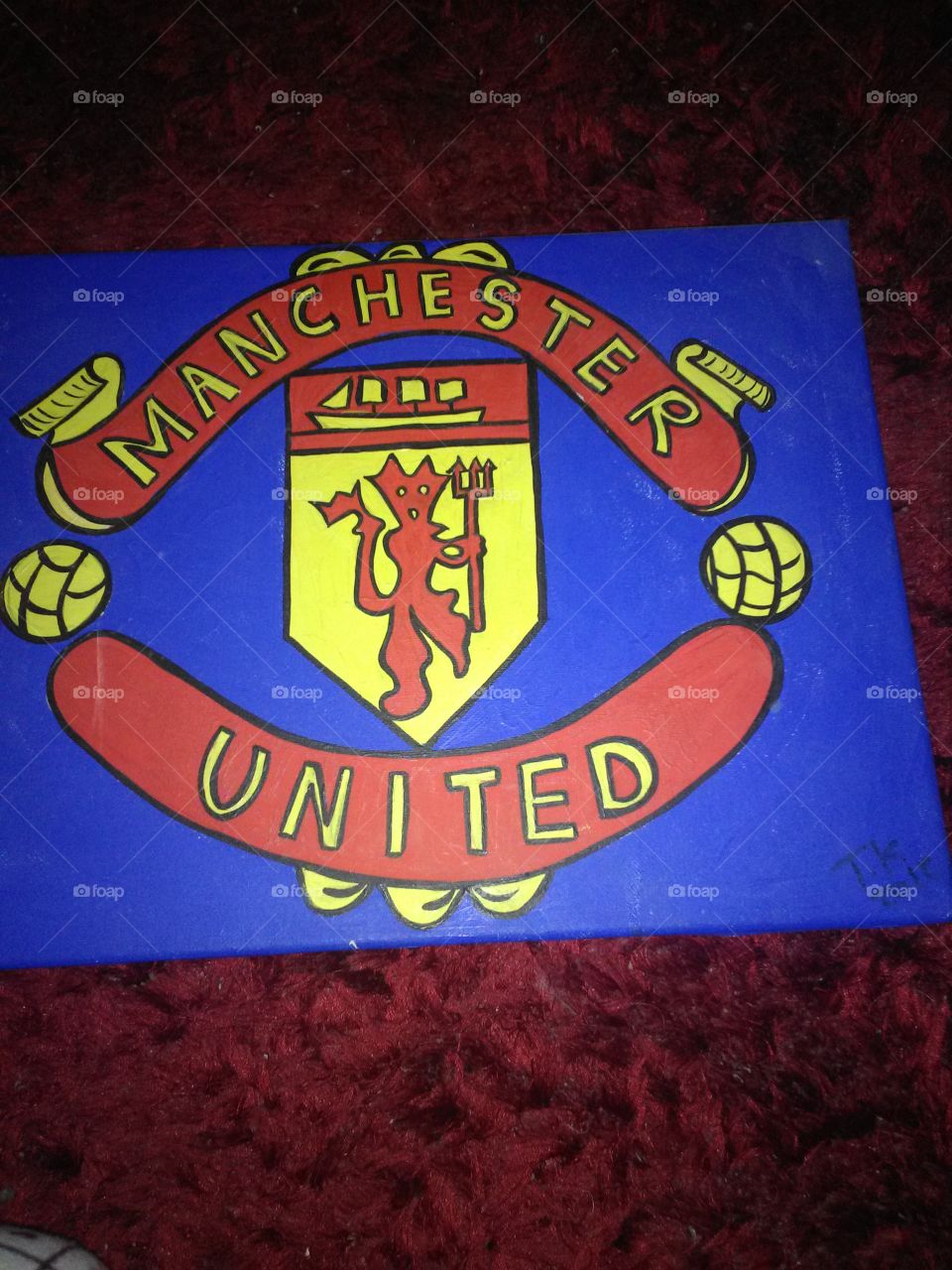 did this for my partner, he's one big Manchester united fan.