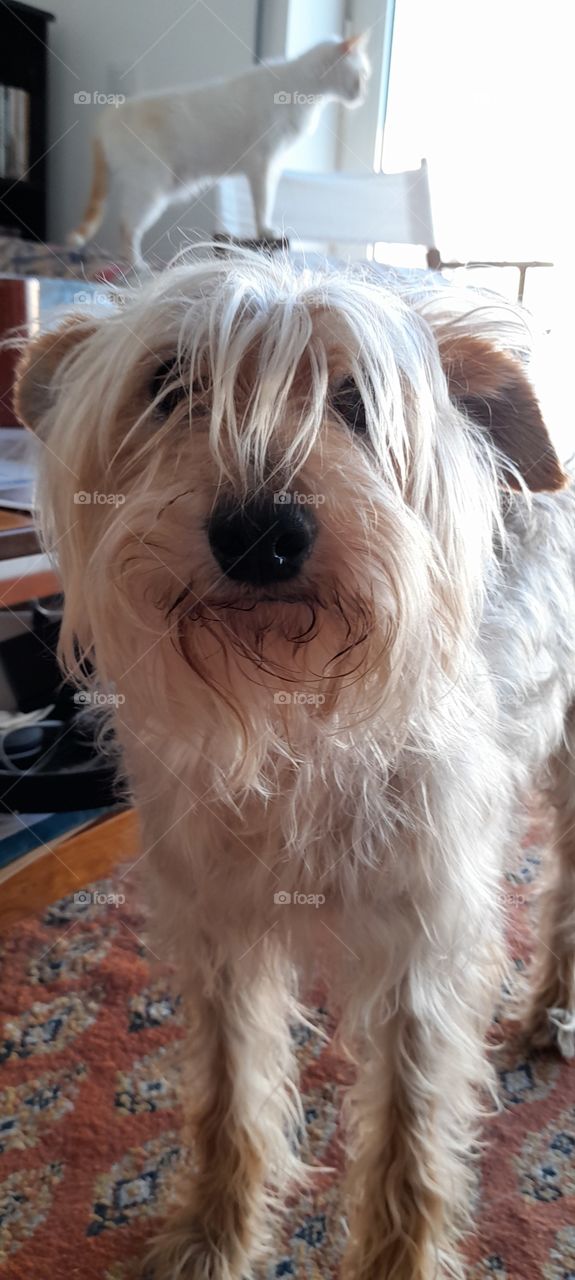 Agora é a minha vez