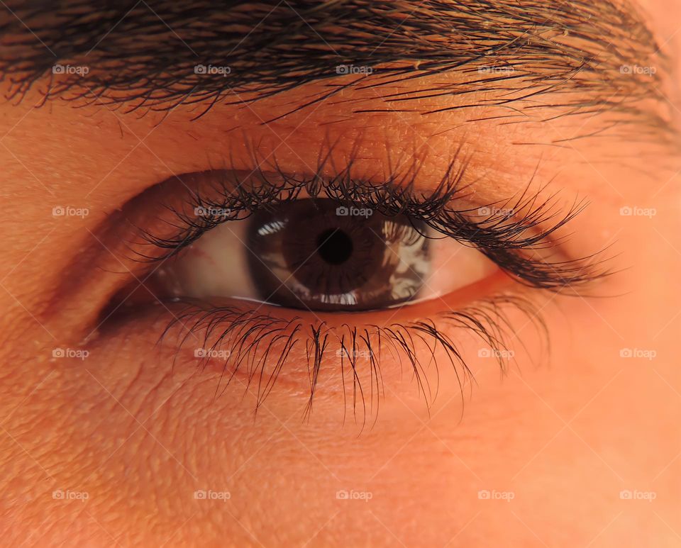 Human Eye Macro
Closeup view of Human Eye.