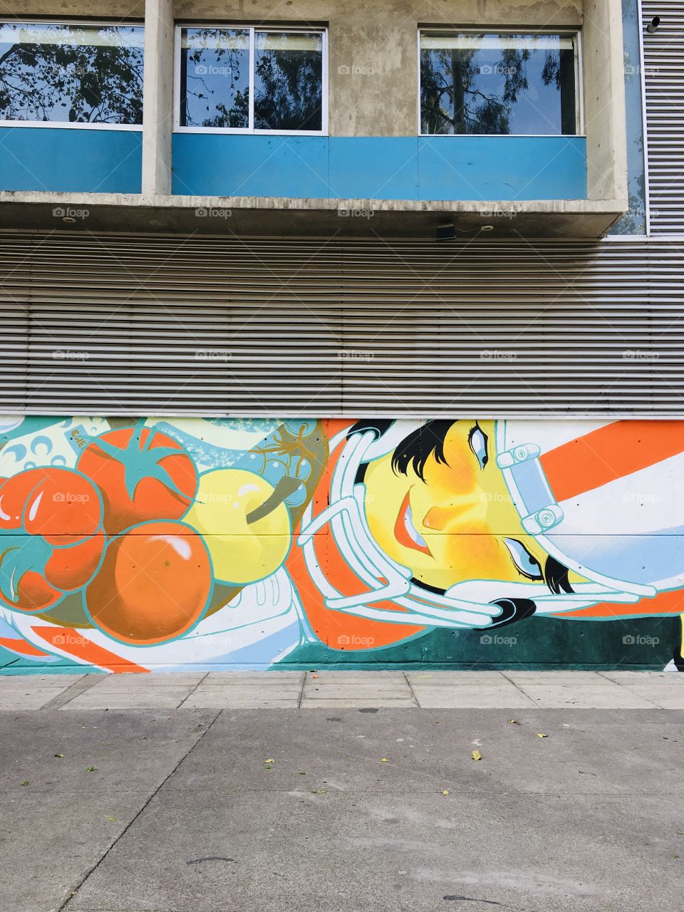 Los murales son parte de la cultura urbana , adornan las calles 
