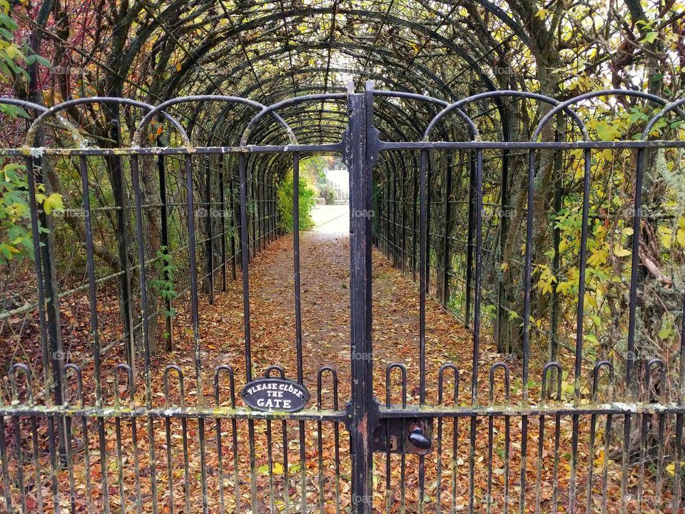 A locked gate to a secret garden