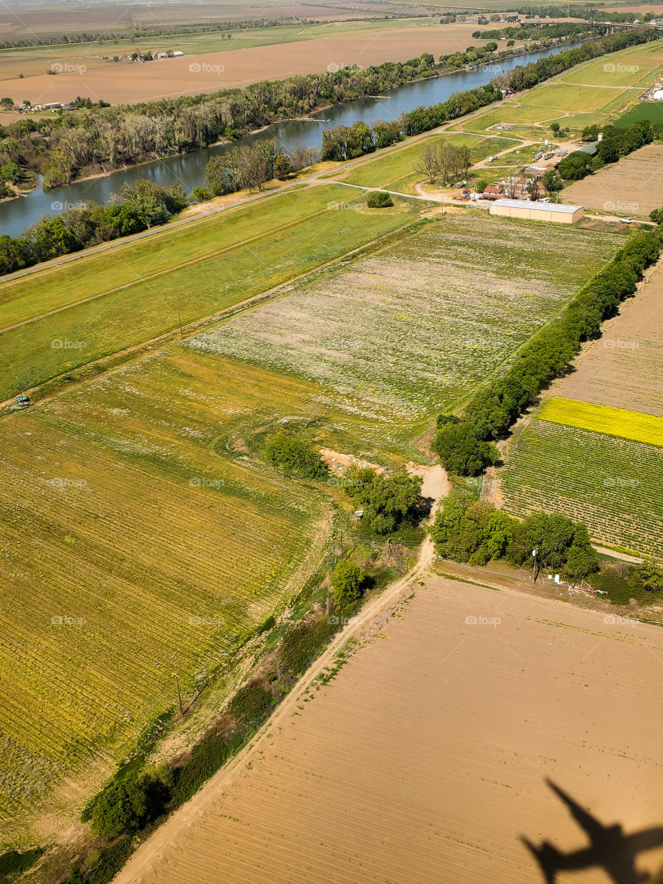 The airplane shadow is reflected in the lush fields of California's central valley