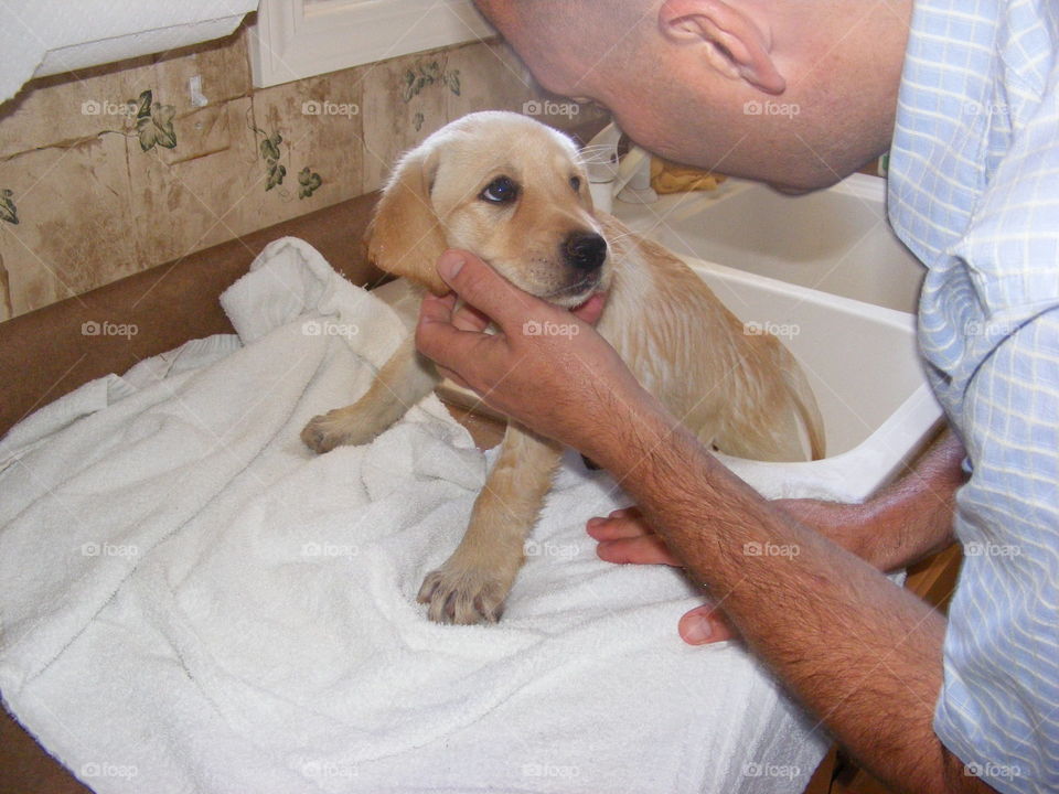 This puppy is getting comforted and reassured that everything will be okay.