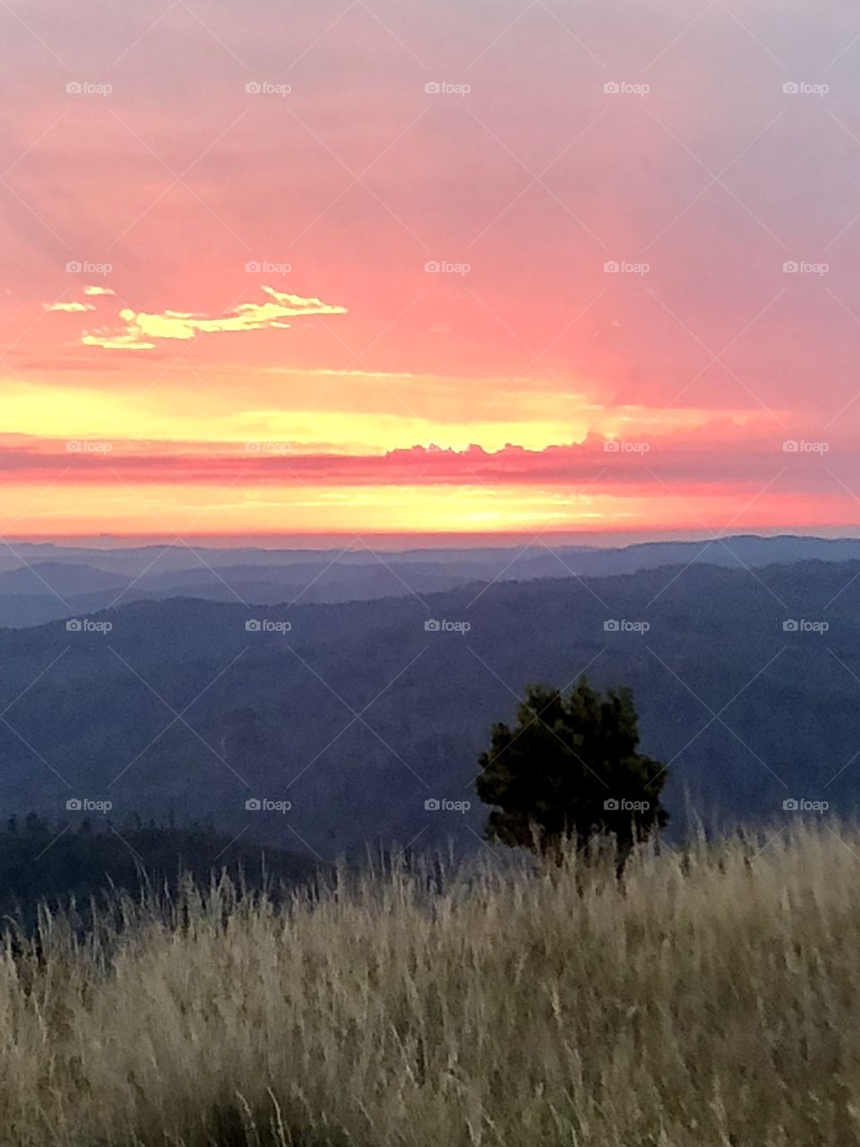 Sunset at mount Tazzie 