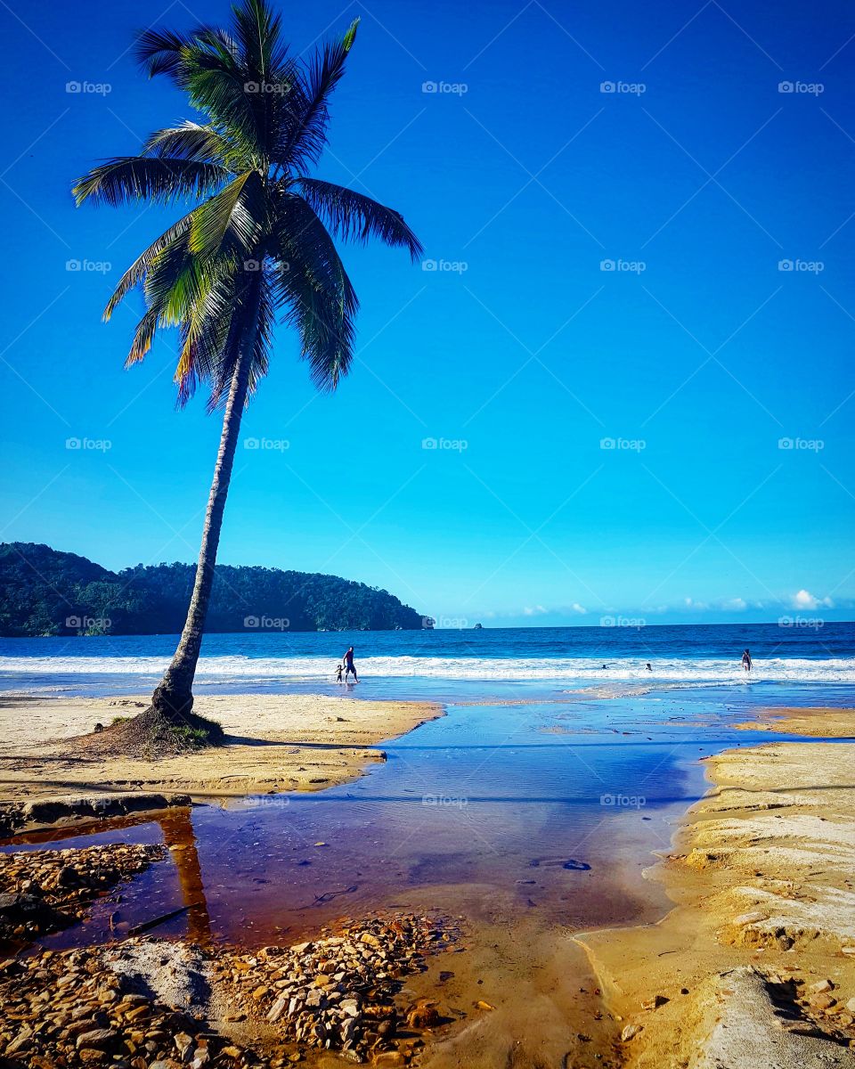 Father and son walking alonh the beach