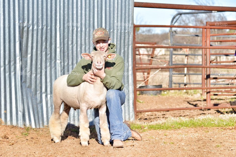 Happy teenage boy with sheep