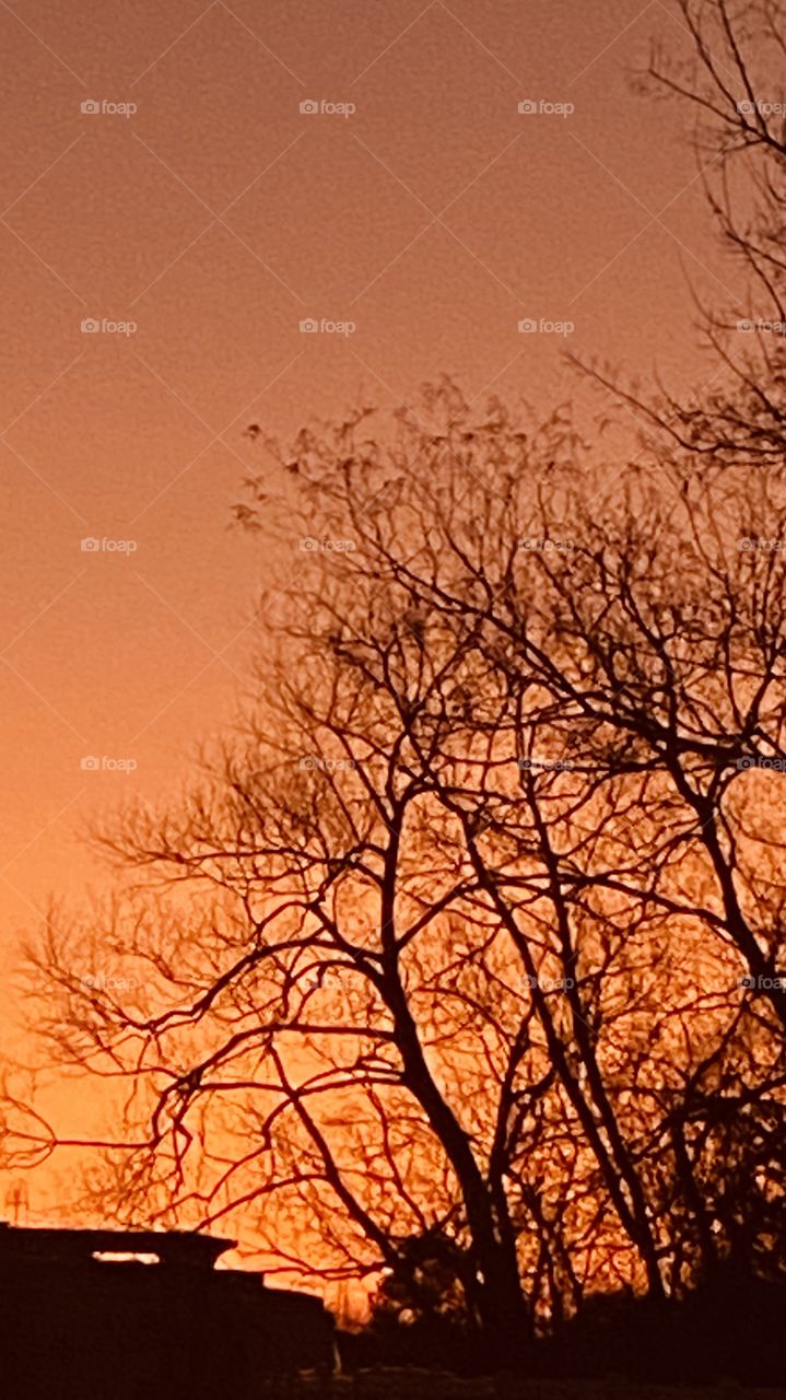 In this wild part of Texas is it getting hard to get a decent Sunset. Weather is the Blame. Here we have a Beautiful Twilight Setting. Winterized weathered Trees leafless since before End of 2019. 