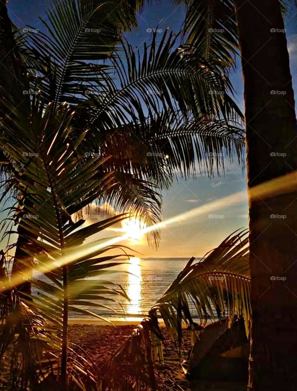 A most beautiful and attractive view of the sunrise.