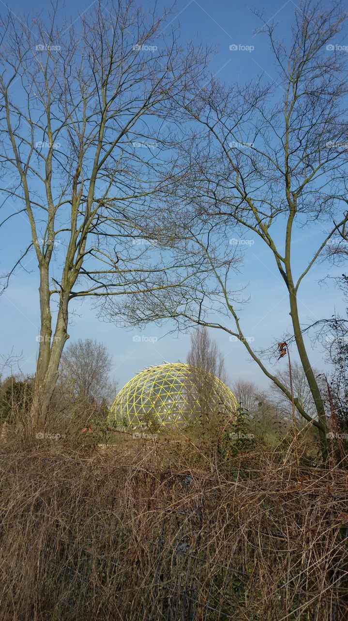 Botanische Garten in Düsseldorf / Deutschland