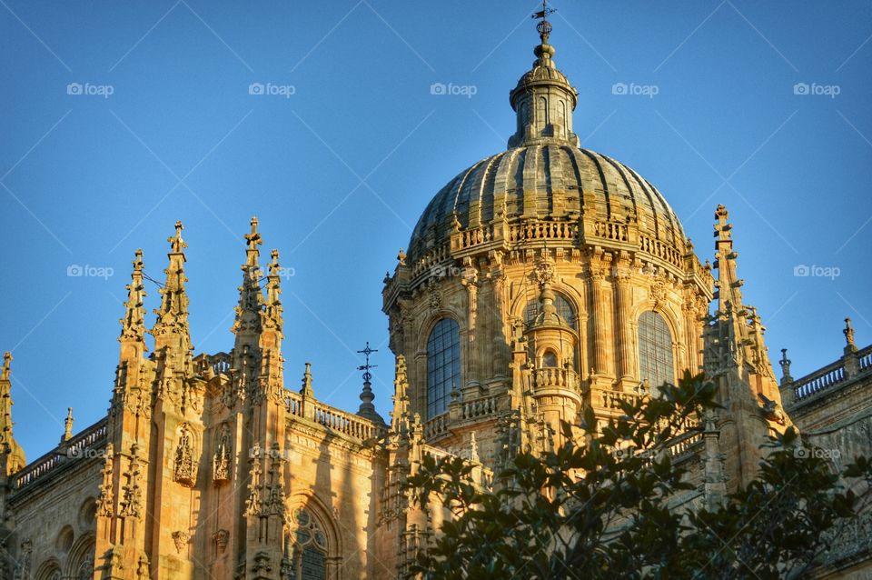 Salamanca cathedral. Cupola of Salamanca cathedral