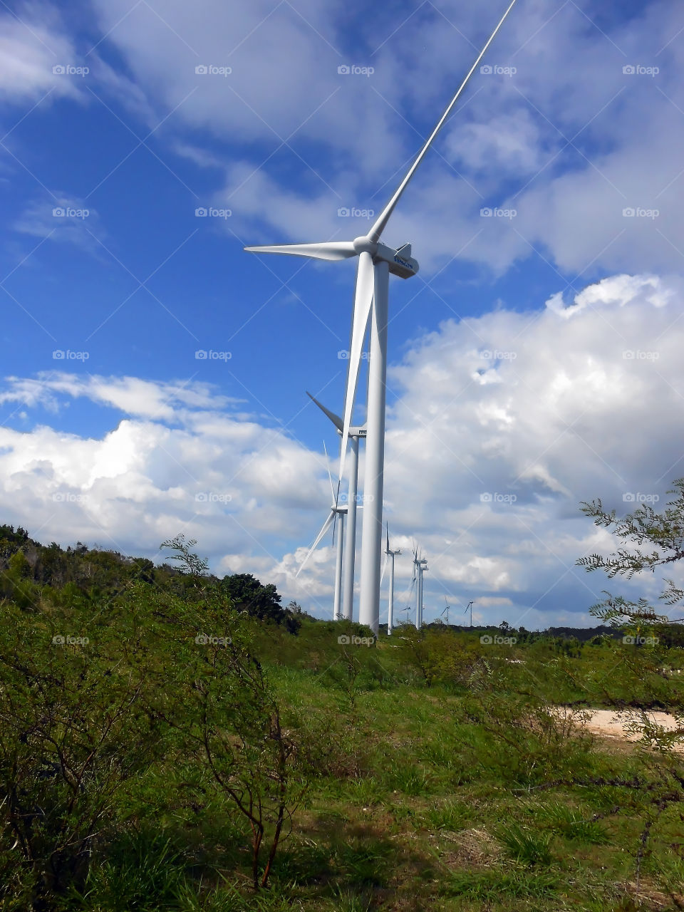 Wind Turbine in a Row