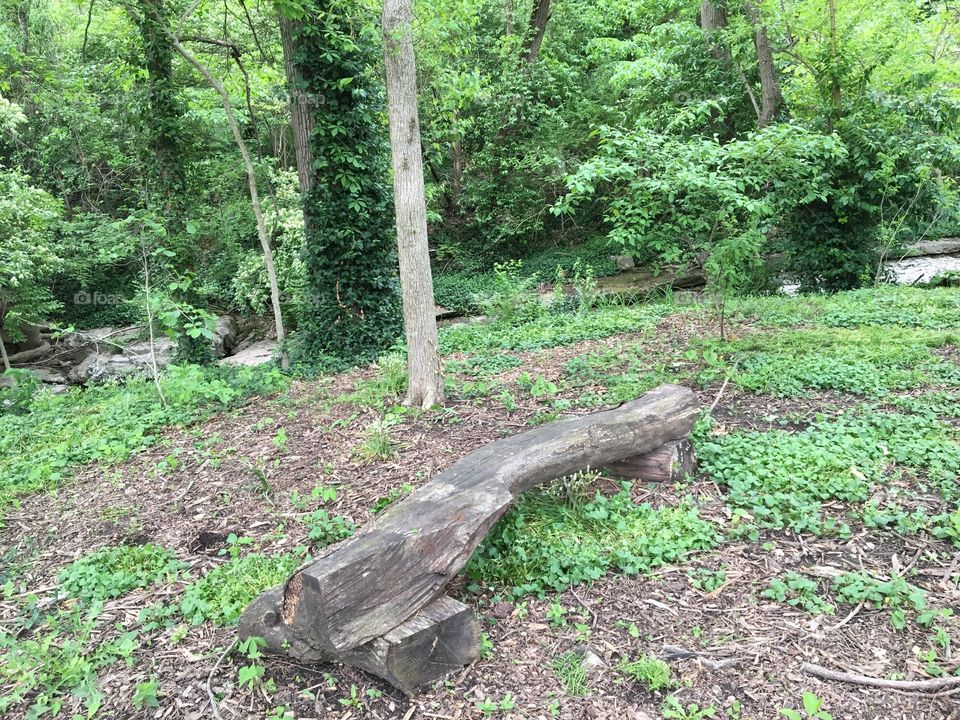 Log bench by creek in woods