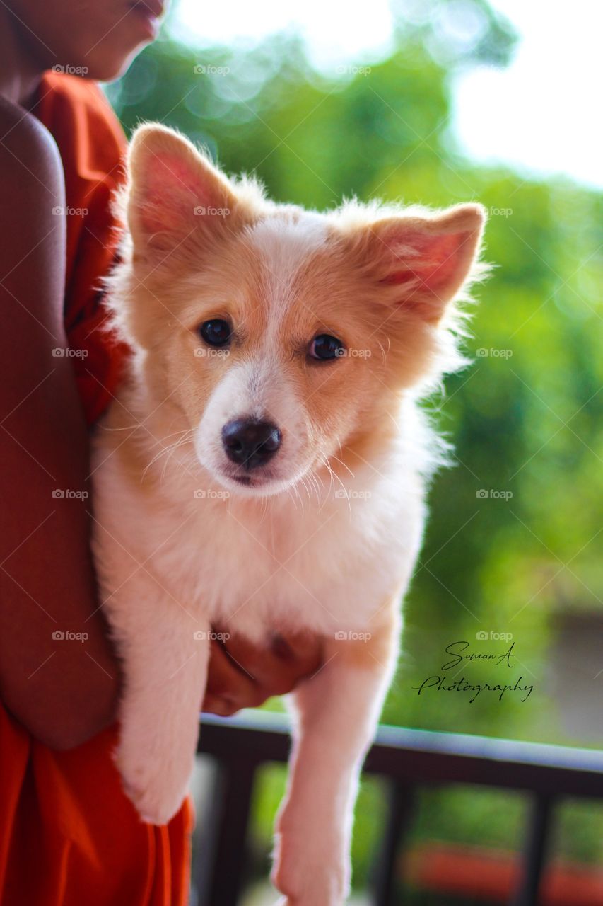 how much do you like this photo