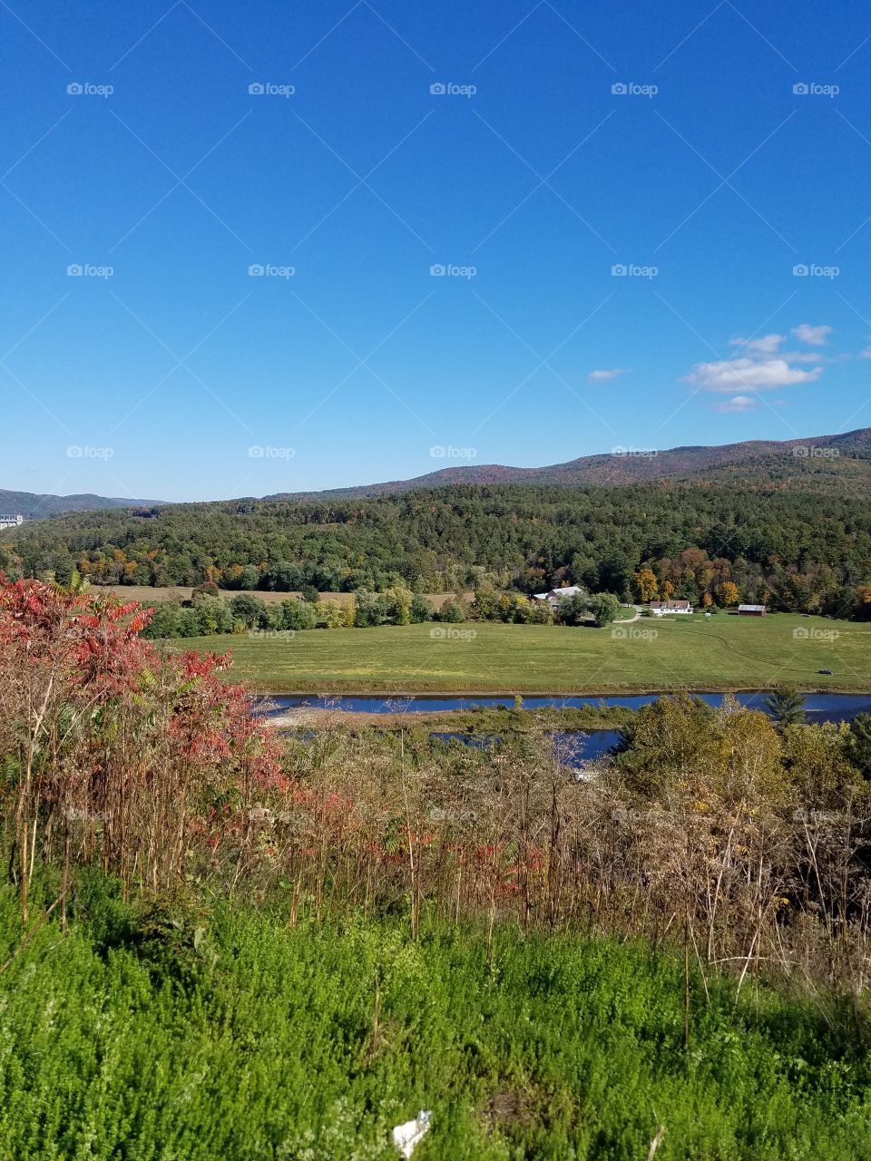 Scenic view of nature