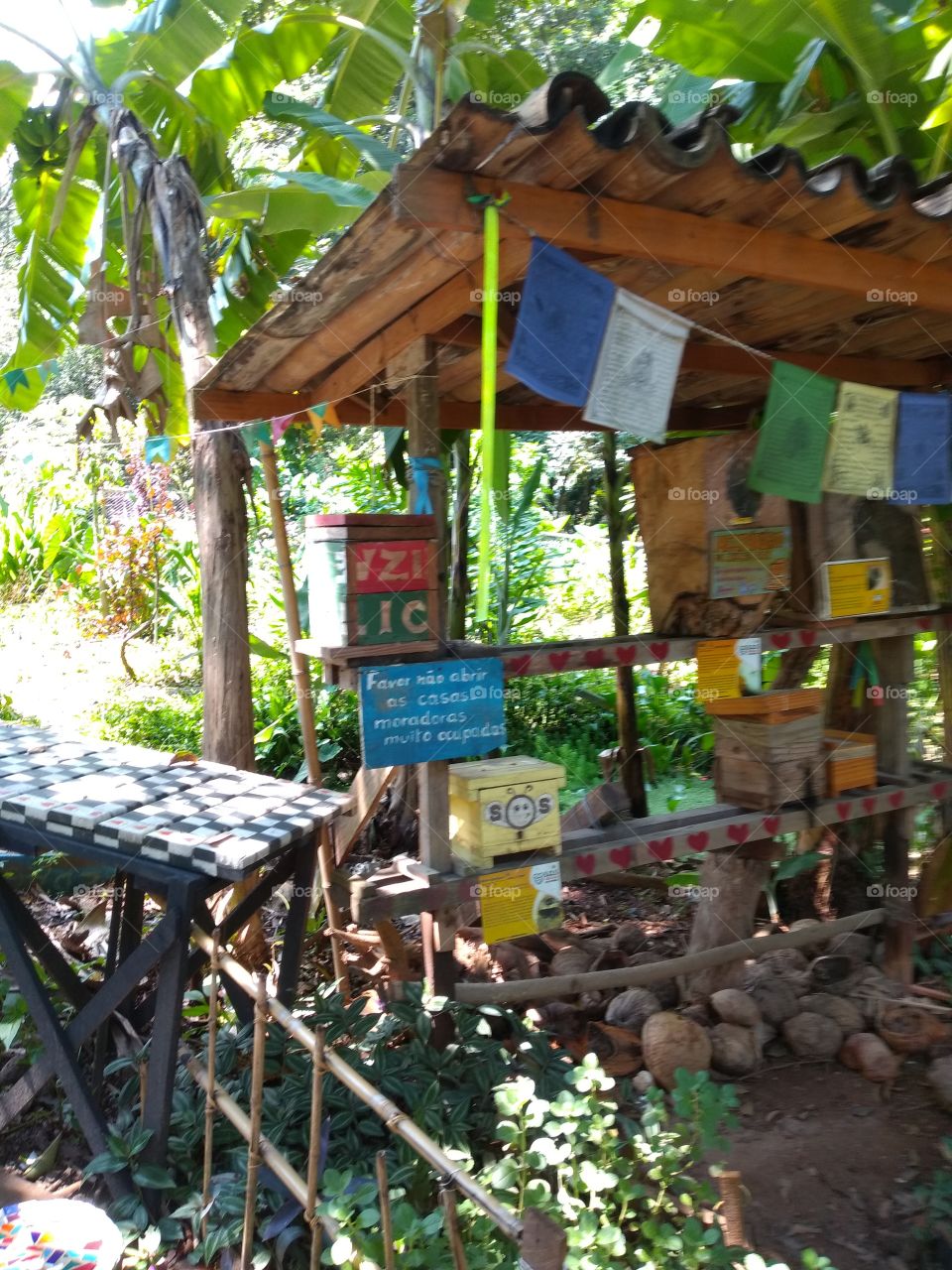 bem vindo foap natureza