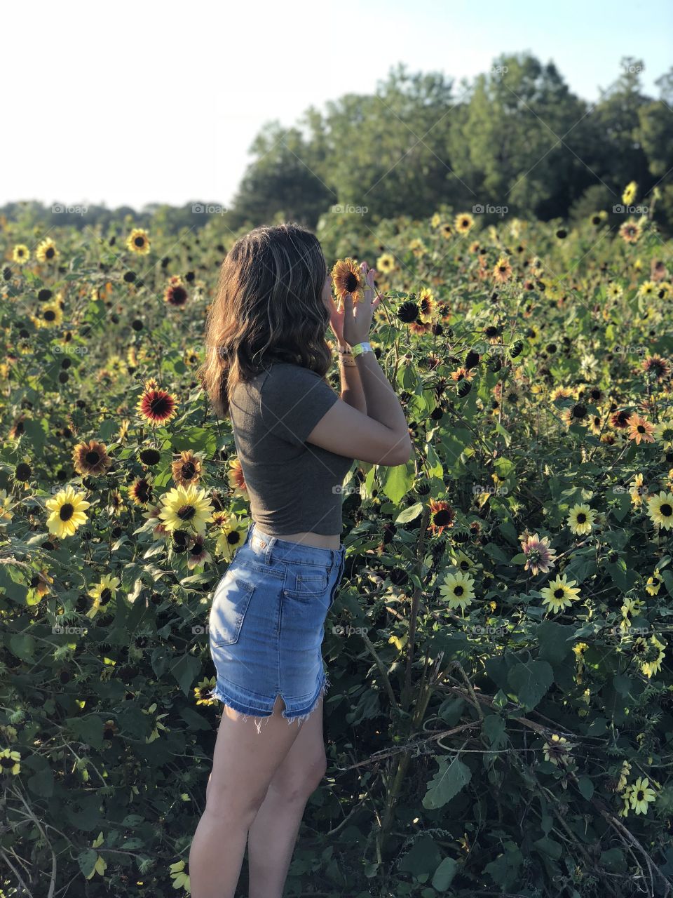 Be a sunflower in a field of roses