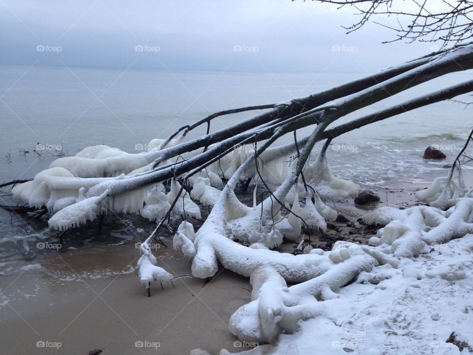 Winter, Snow, Ice, Water, Frost