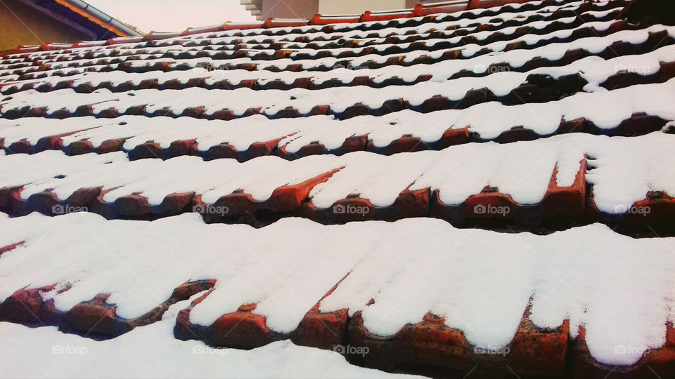 Snowy Roof