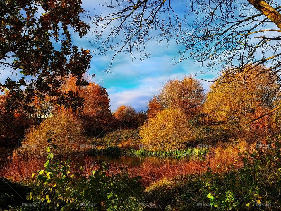 Mixture of trees and foliage in vivid autumn colours surrounding, and reflected in, a small lake with a bright blue sky with mauve/grey cloud formations