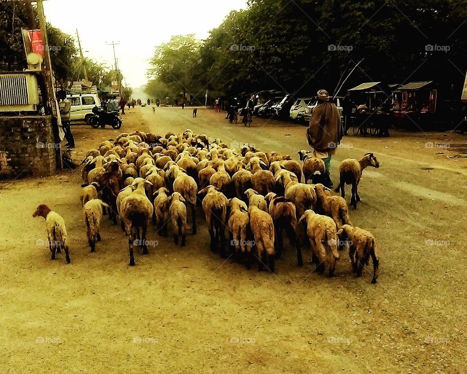 Traveling is the best way to get an idea about one’s own privilege...