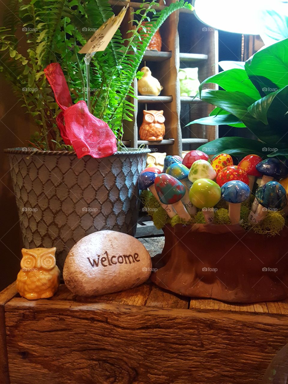 display of   glass mushrooms and decorations