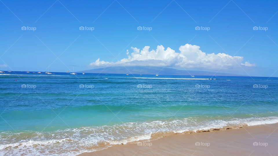 beach shoreline. beach in hawaii