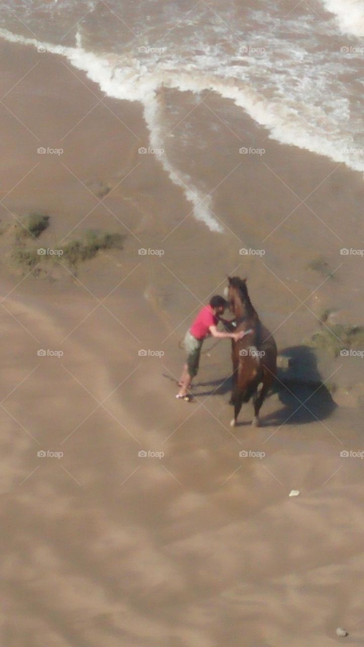  A horse takes a shower by the sea by a horseman.