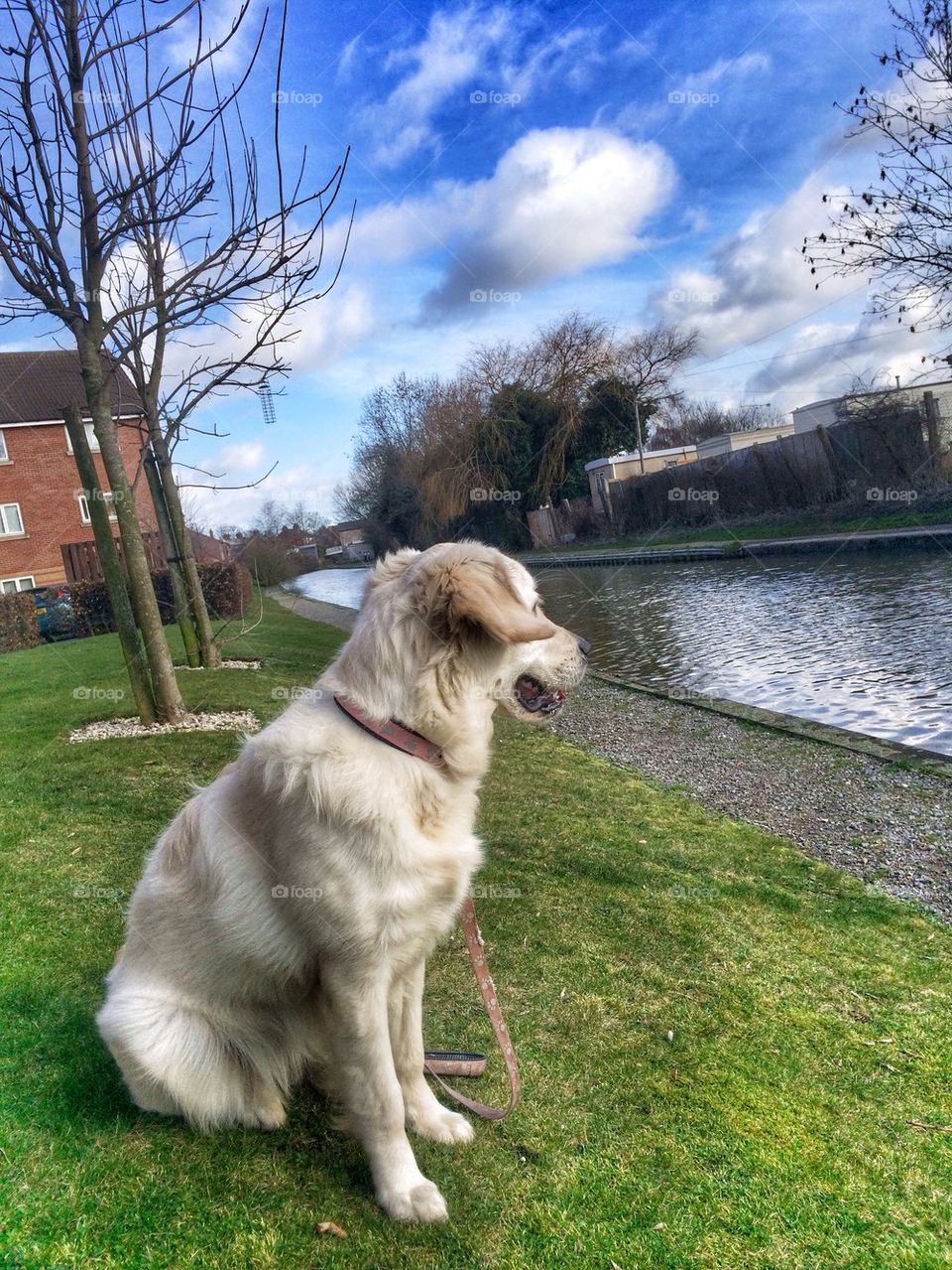 Zoe posing at the canal 