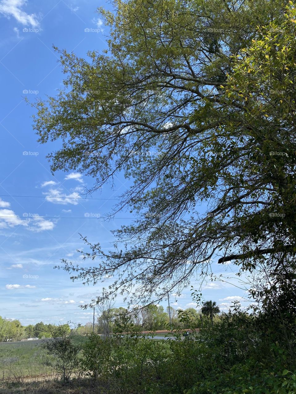 Beauty to take a look at when I walk 