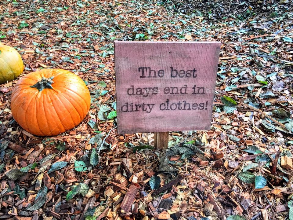 Pumpkin patch sign from Coastal Black pumpkin patch. 