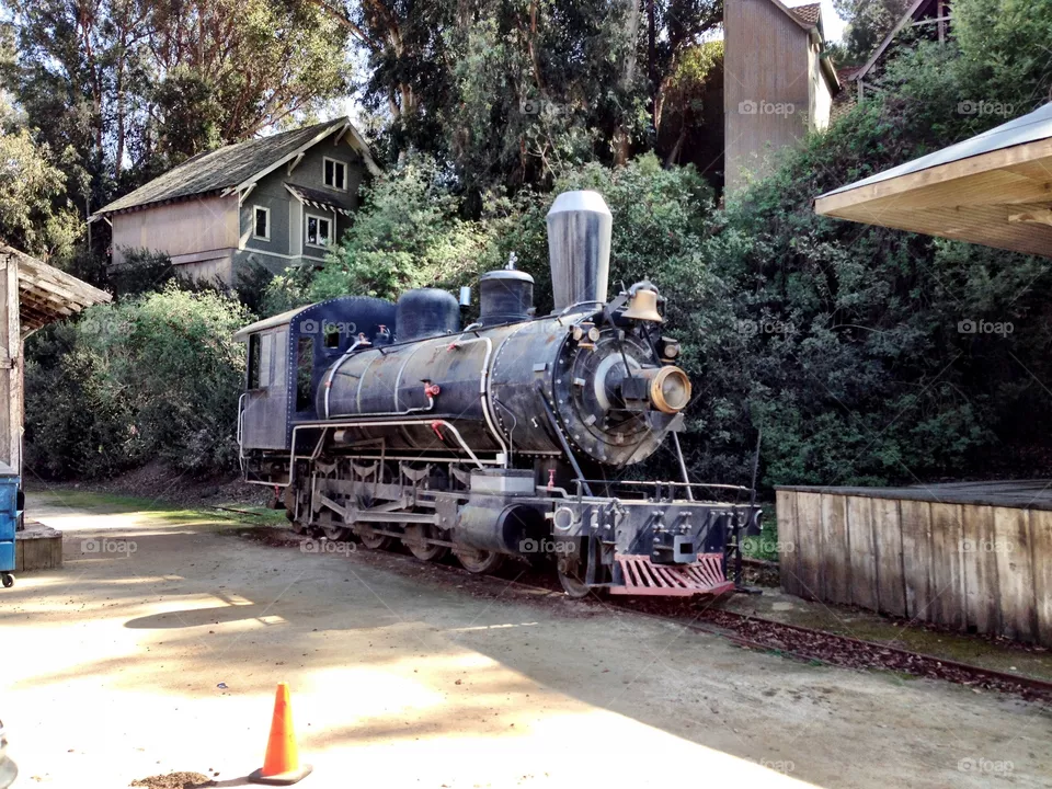 Train 